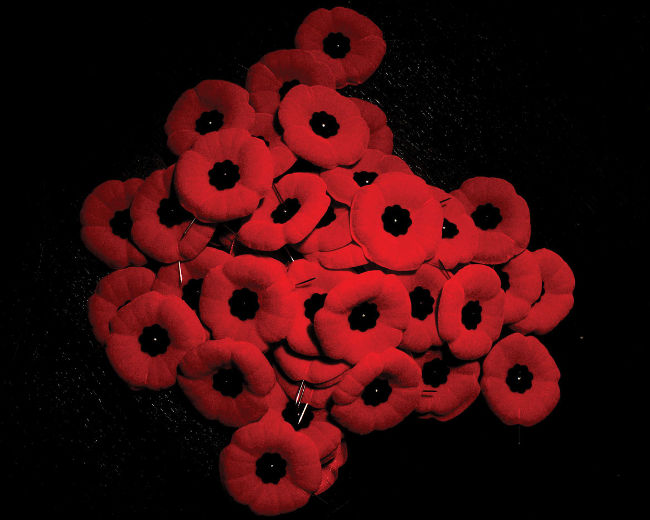 Legion poppy campaign begins Friday Legion poppy campaign begins Friday